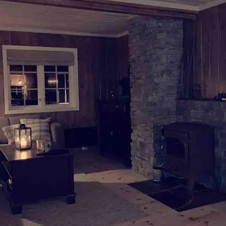 Chalet Fjellpark 71 Hovden (Aust-Agder)