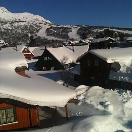 Fjellpark 71 * Hovden (Aust-Agder)