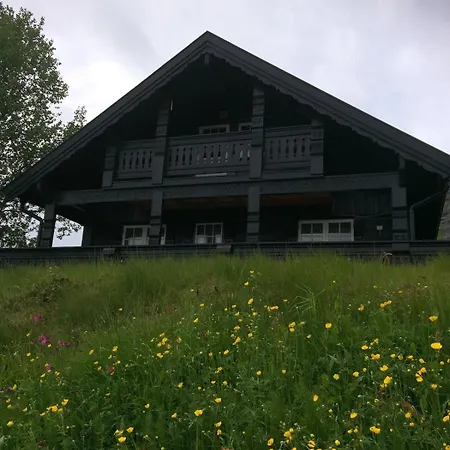 Chalet Fjellpark 71 Hovden (Aust-Agder)